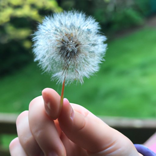 Exploring the Potential for Appreciation