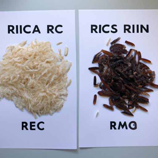 Exploring the Nutritional Differences Between Brown and White Rice