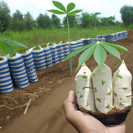 Why is Cassava Sciences Up Today? Exploring the Science, Financial