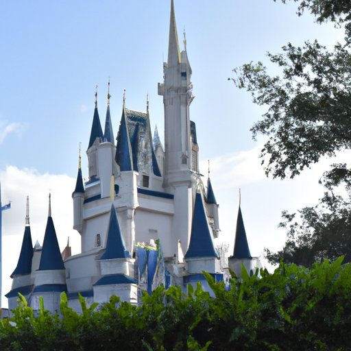 Discovering What Makes Disney World So Popular