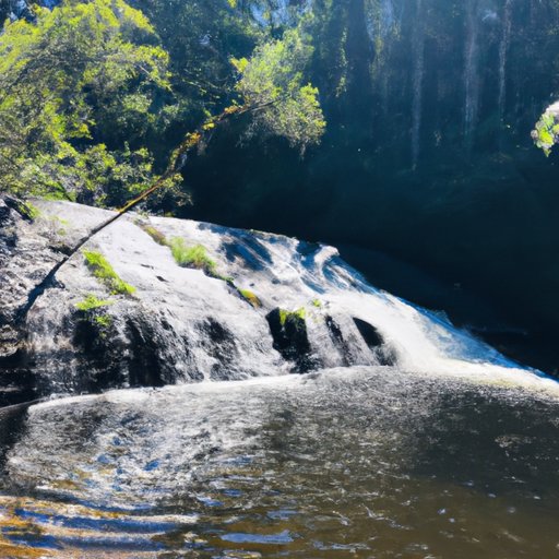 Exploring the Wonders of the Natural World