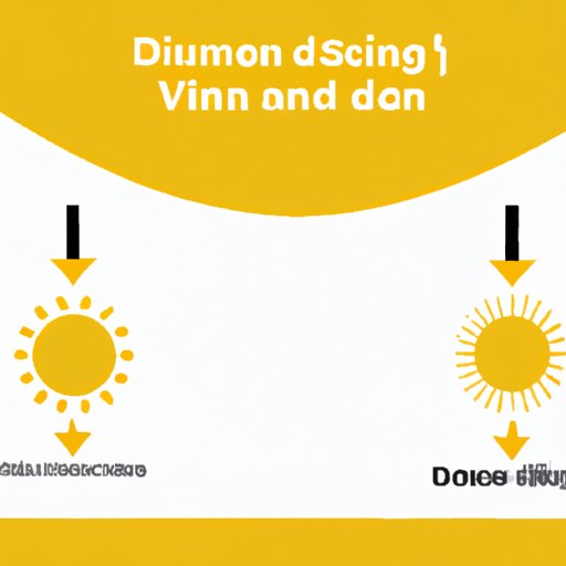 Highlighting the Relationship Between Vitamin D and Immune System Support