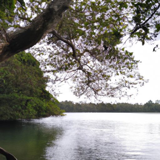 Developing a Deeper Appreciation for Nature and the Environment