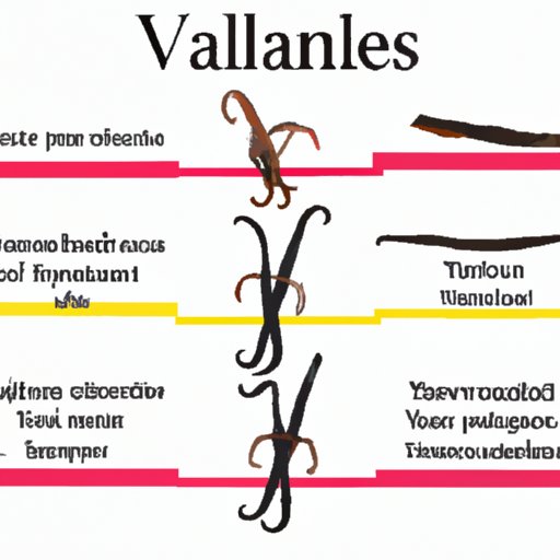 The Science Behind Vanilla Flavoring