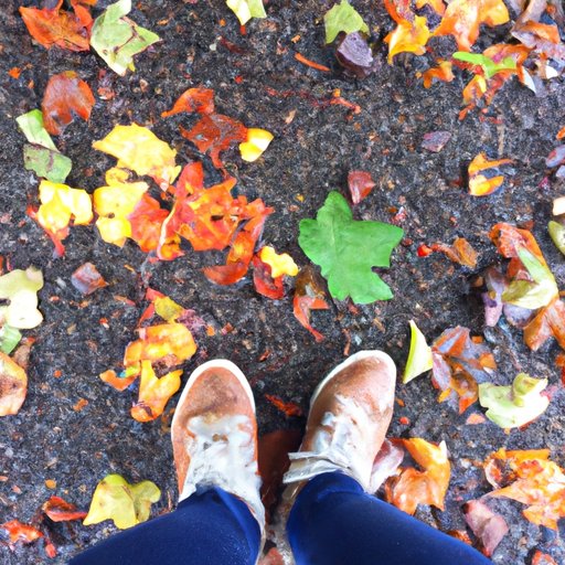 Experience the Changing of Seasons