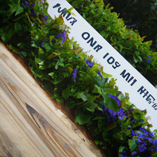 What Businesses Should Consider Before Signing Up for Will Ramp