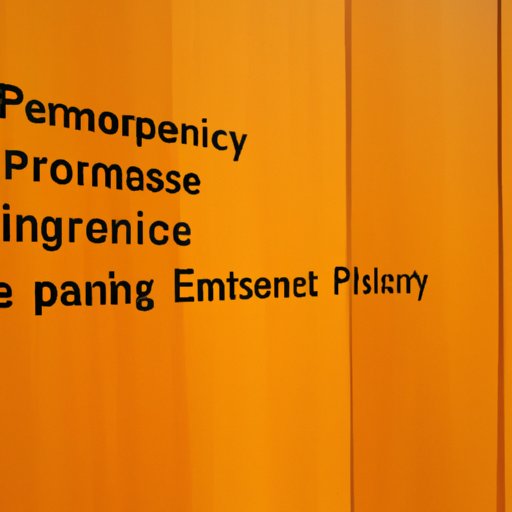 Exploring Strategies for Managing an Extended Public Health Emergency