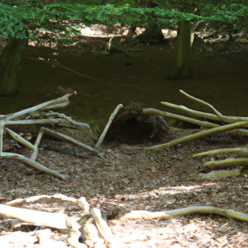 Will Wood Tour: What to Expect