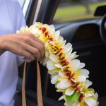 Are Leis Cultural Appropriation? Understanding the Significance of Hawaiian Culture and the Differences between Appreciation and Appropriation