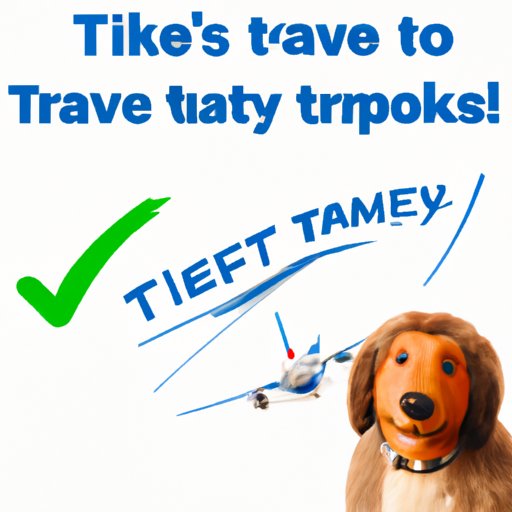 Can I Travel with My Dog on a Plane? All You Need to Know The