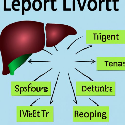 How Does a Liver Transplant Work? Exploring the Steps, Risks & Benefits