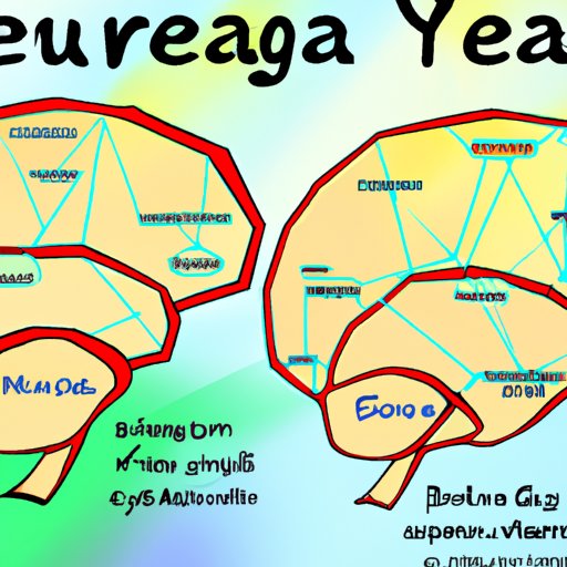 Exploring How Does Deja Vu Work A Comprehensive Guide The