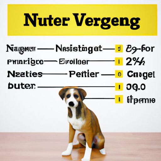 The Cost of Neutering a Dog What to Expect and How to Budget The