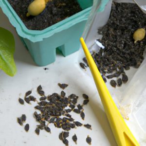 How to Start Lemon Seeds: A Comprehensive Guide - The Enlightened Mindset