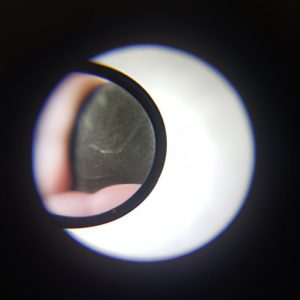 What is a Hand Lens Used for in Science? Exploring the Role of Hand ...