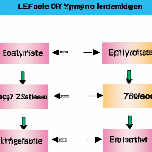 Exploring the Induced Fit of Enzymes What It Is and Why It Matters The Enlightened Mindset