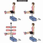 Leg Lifts: A Comprehensive Guide to Incorporating Leg Lifts into Exercise Routines
